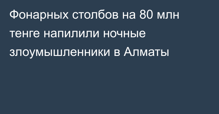 Фонарных столбов на 80 млн тенге напилили ночные злоумышленники в Алматы