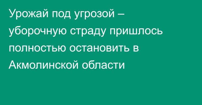 Урожай под угрозой – уборочную страду пришлось полностью остановить в Акмолинской области