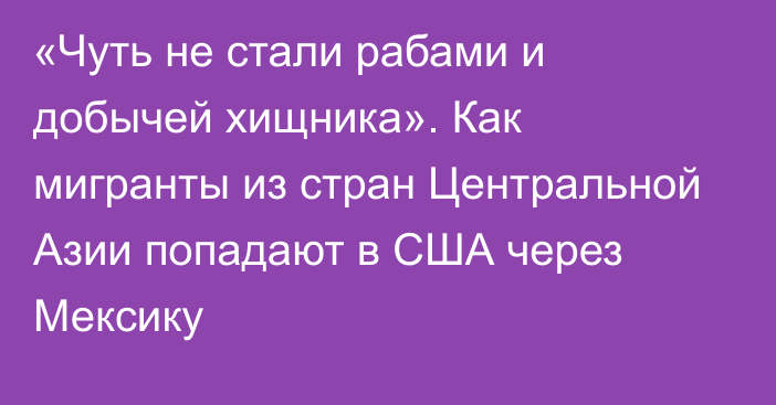 «Чуть не стали рабами и добычей хищника». Как мигранты из стран Центральной Азии попадают в США через Мексику