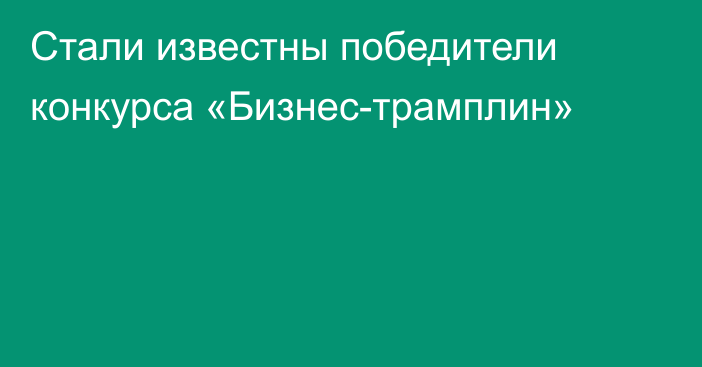 Стали известны победители конкурса «Бизнес-трамплин»