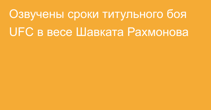 Озвучены сроки титульного боя UFC в весе Шавката Рахмонова