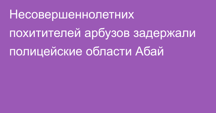 Несовершеннолетних похитителей арбузов задержали полицейские области Абай