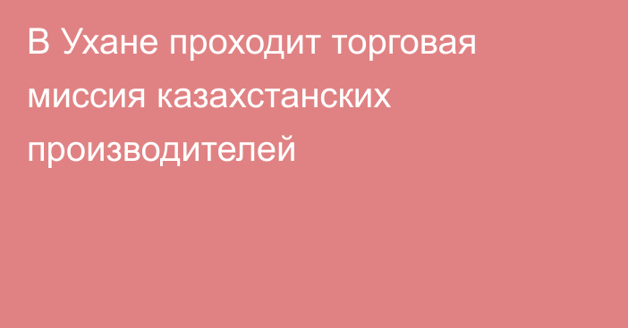 В Ухане проходит торговая миссия казахстанских производителей