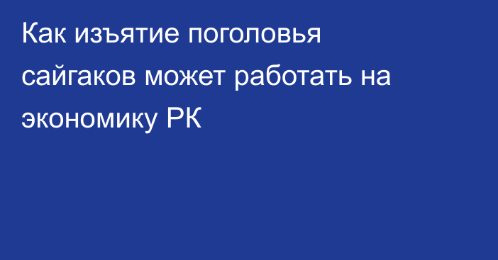 Как изъятие поголовья сайгаков может работать на экономику РК