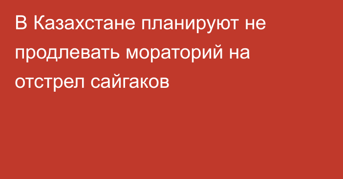 В Казахстане планируют не продлевать мораторий на отстрел сайгаков