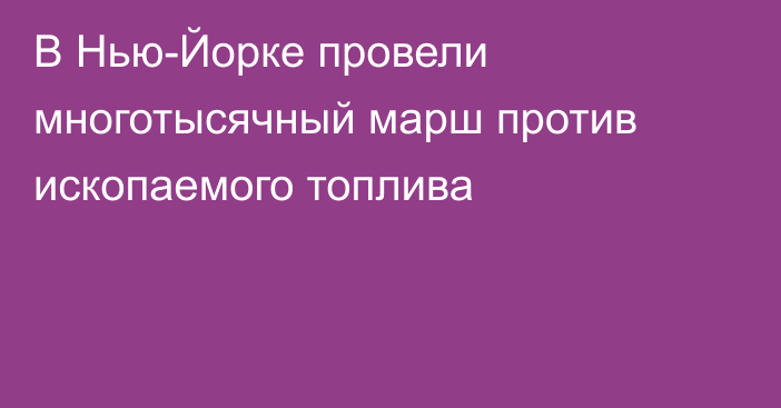 В Нью-Йорке провели многотысячный марш против ископаемого топлива