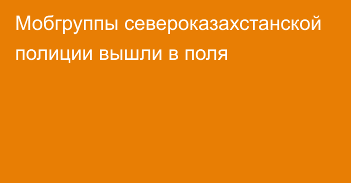 Мобгруппы североказахстанской полиции вышли в поля