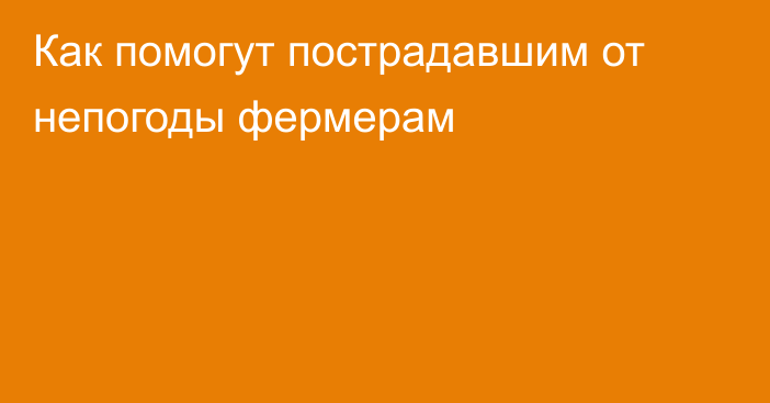 Как помогут пострадавшим от непогоды фермерам