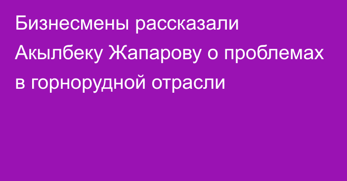 Бизнесмены рассказали Акылбеку Жапарову о проблемах в горнорудной отрасли