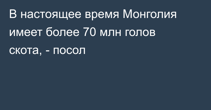 В настоящее время Монголия имеет более 70 млн голов скота, - посол