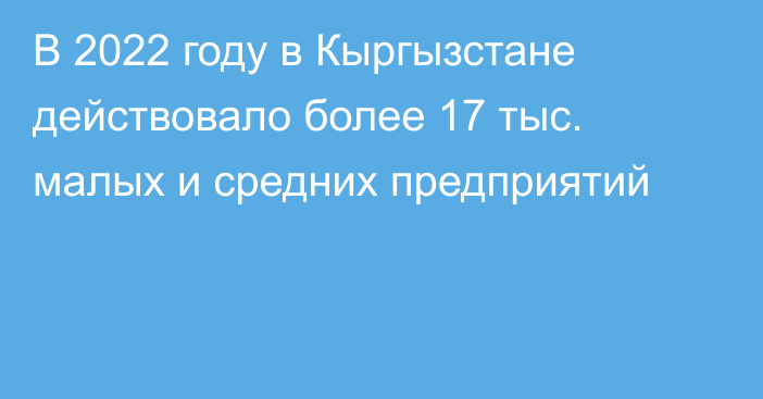 В 2022 году в Кыргызстане действовало более 17 тыс. малых и средних предприятий