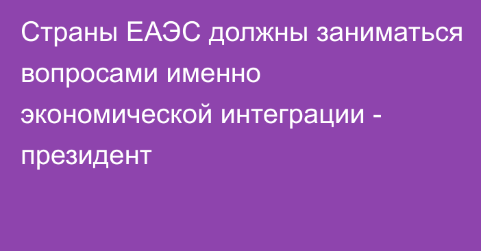 Страны ЕАЭС должны заниматься вопросами именно экономической интеграции - президент