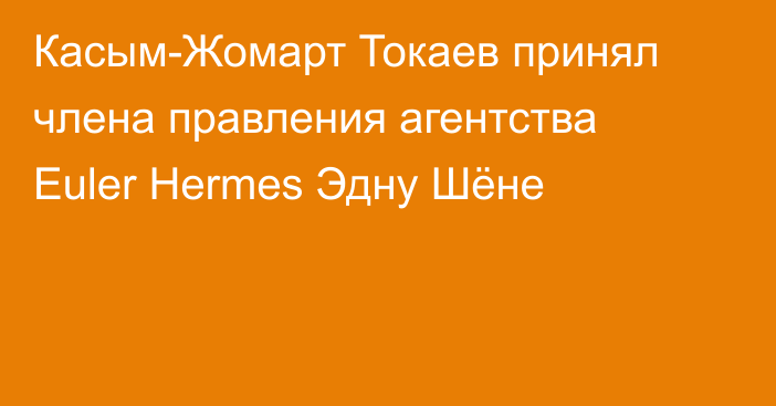 Касым-Жомарт Токаев принял члена правления агентства Euler Hermes Эдну Шёне