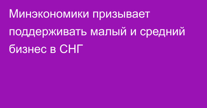 Минэкономики призывает поддерживать малый и средний бизнес в СНГ