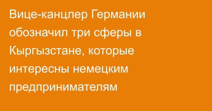 Вице-канцлер Германии обозначил три сферы в Кыргызстане, которые интересны немецким предпринимателям