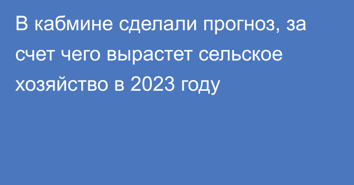 В кабмине сделали прогноз, за счет чего вырастет сельское хозяйство в 2023 году