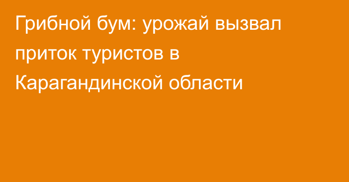 Грибной бум: урожай вызвал приток туристов в Карагандинской области