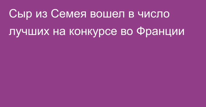 Сыр из Семея вошел в число лучших на конкурсе во Франции