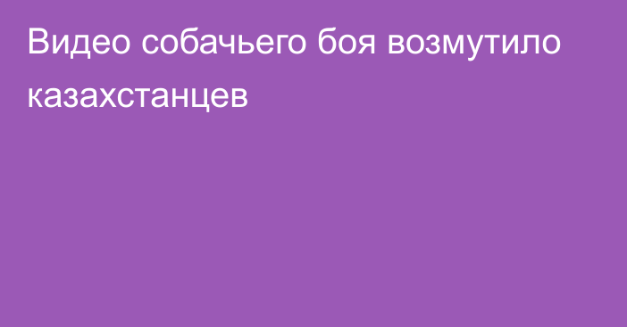 Видео собачьего боя возмутило казахстанцев