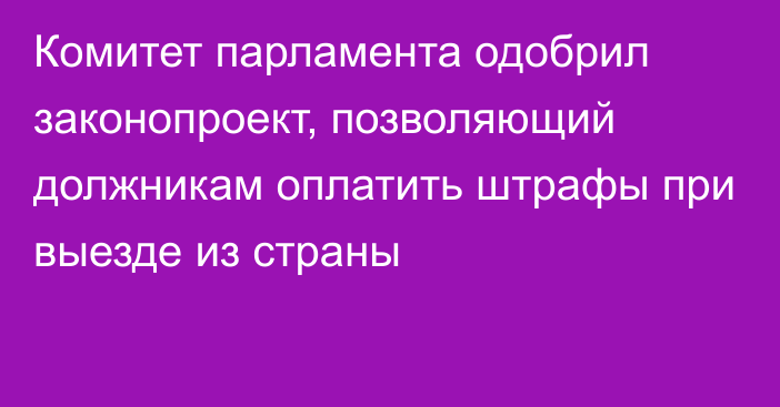 Комитет парламента одобрил законопроект, позволяющий должникам оплатить штрафы при выезде из страны