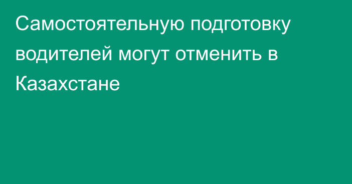 Самостоятельную подготовку водителей могут отменить в Казахстане