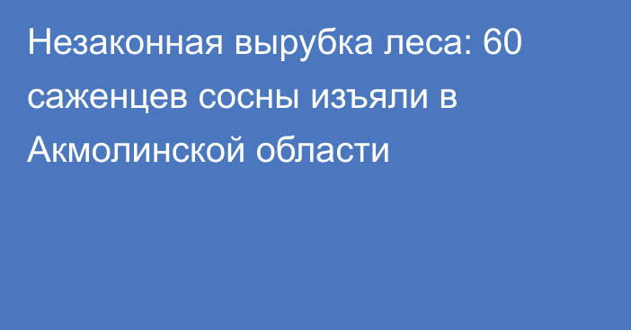 Незаконная вырубка леса: 60 саженцев сосны изъяли в Акмолинской области