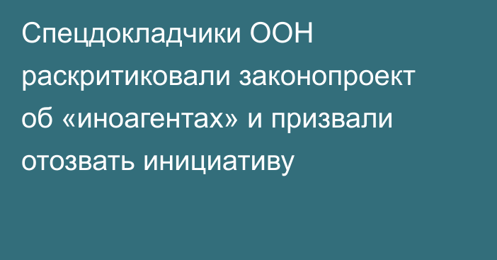 Спецдокладчики ООН раскритиковали законопроект об «иноагентах» и призвали отозвать инициативу