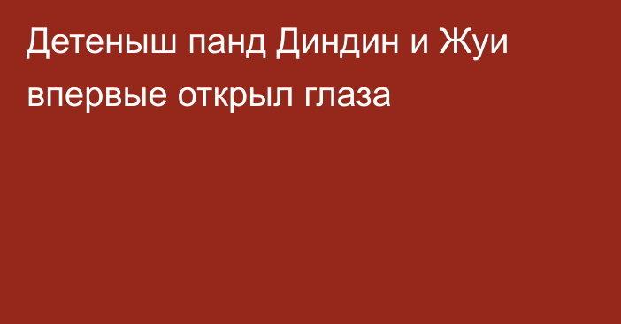 Детеныш панд Диндин и Жуи впервые открыл глаза