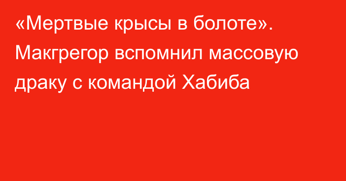 «Мертвые крысы в ​​болоте». Макгрегор вспомнил массовую драку с командой Хабиба