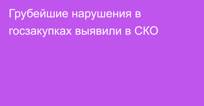 Грубейшие нарушения в госзакупках выявили в СКО