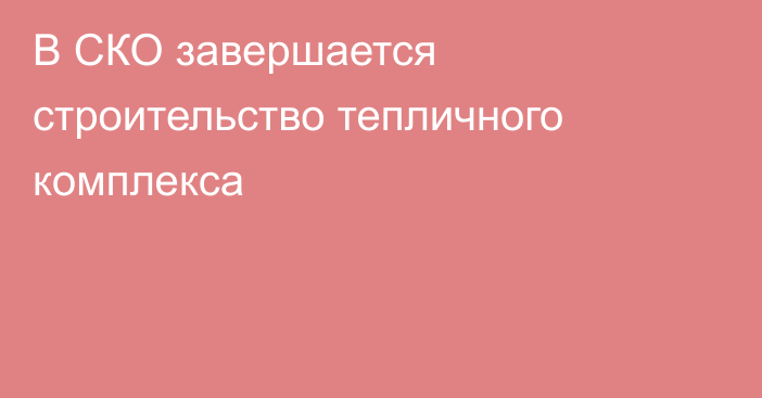 В СКО завершается строительство тепличного комплекса