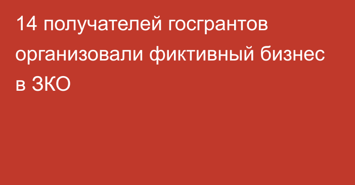 14 получателей госгрантов организовали фиктивный бизнес в ЗКО