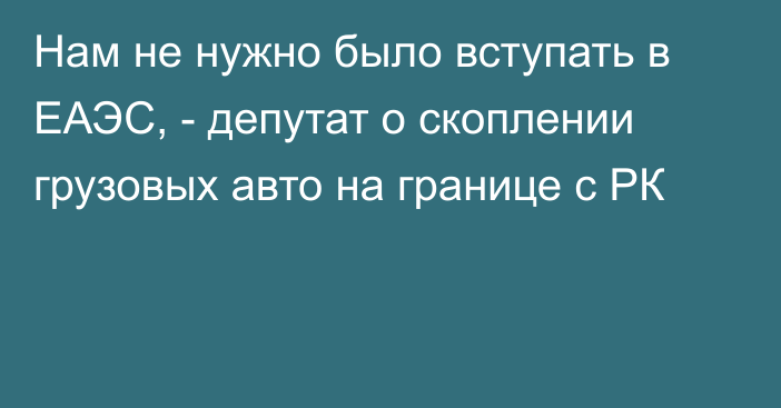 Нам не нужно было вступать в ЕАЭС, - депутат о скоплении грузовых авто на границе с РК