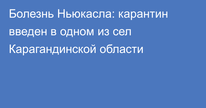 Болезнь Ньюкасла: карантин введен в одном из сел Карагандинской области