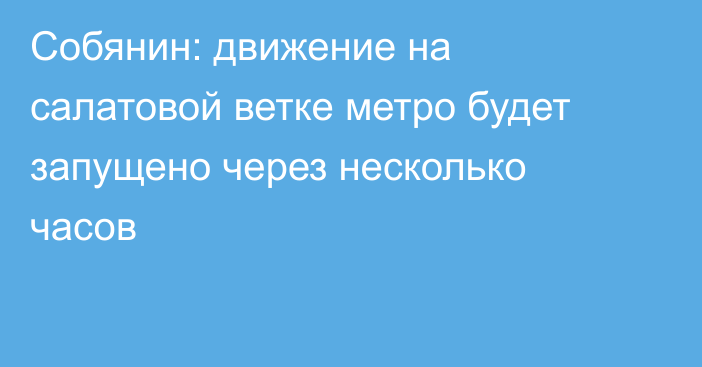 Собянин: движение на салатовой ветке метро будет запущено через несколько часов