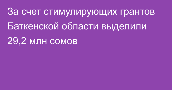 За счет стимулирующих грантов Баткенской области выделили 29,2 млн сомов