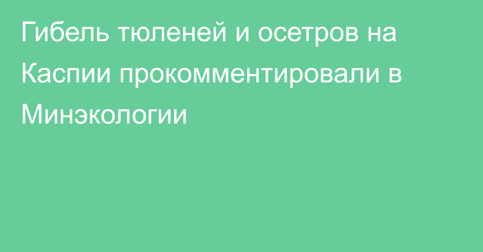 Гибель тюленей и осетров на Каспии прокомментировали в Минэкологии