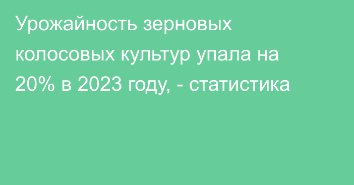 Урожайность зерновых колосовых культур упала на 20% в 2023 году, - статистика