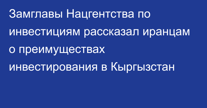 Замглавы Нацгентства по инвестициям рассказал иранцам о преимуществах инвестирования в Кыргызстан