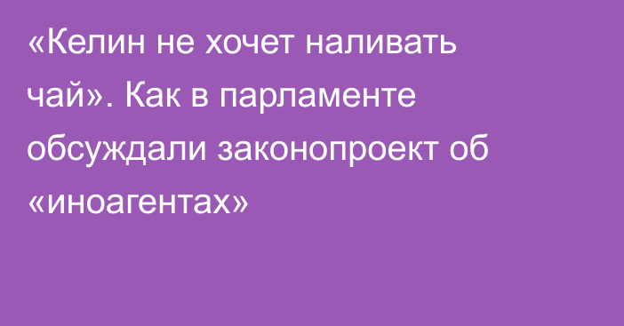 «Келин не хочет наливать чай». Как в парламенте обсуждали законопроект об «иноагентах»