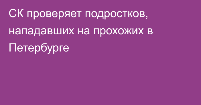 СК проверяет подростков, нападавших на прохожих в Петербурге