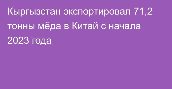 Кыргызстан экспортировал 71,2 тонны мёда в Китай с начала 2023 года