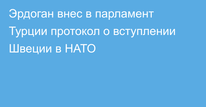 Эрдоган внес в парламент Турции протокол о вступлении Швеции в НАТО