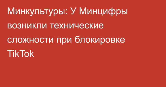 Минкультуры: У Минцифры возникли технические сложности при блокировке TikTok