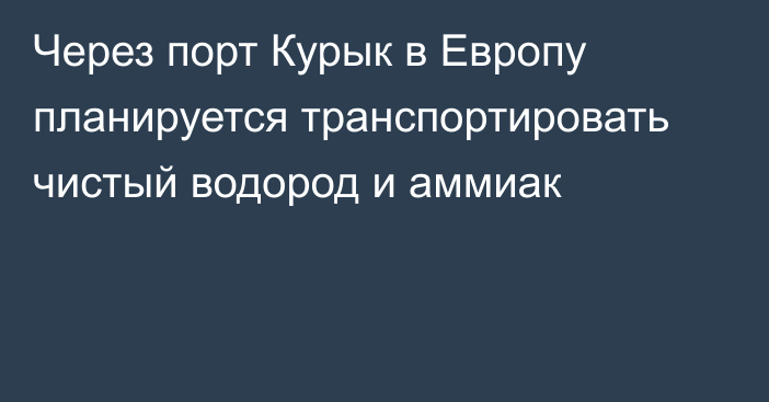 Через порт Курык в Европу планируется транспортировать чистый водород и аммиак