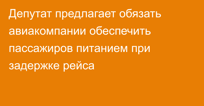 Депутат предлагает обязать авиакомпании обеспечить пассажиров питанием при задержке рейса