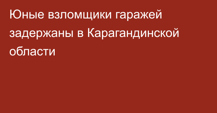 Юные взломщики гаражей задержаны в Карагандинской области