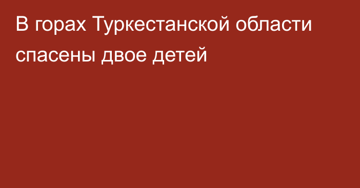 В горах Туркестанской области спасены двое детей