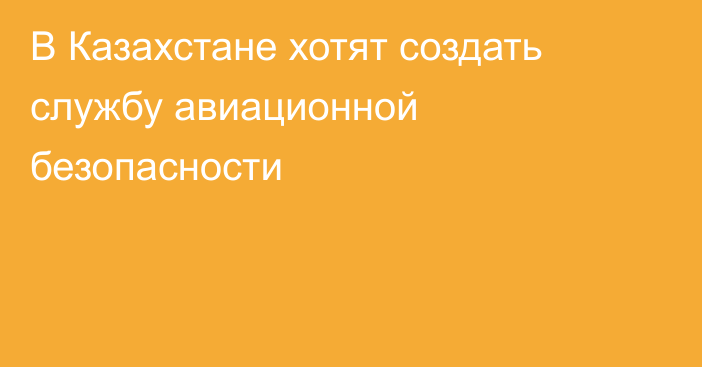 В Казахстане хотят создать службу авиационной безопасности