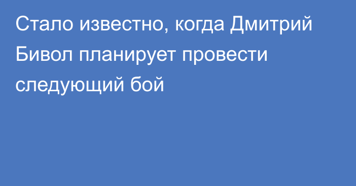 Стало известно, когда Дмитрий Бивол планирует провести следующий бой